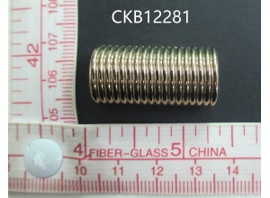 CKB12281